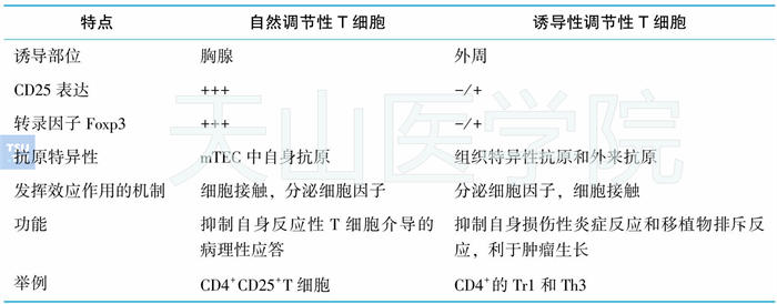 自然调节T细胞和诱导性调节T细胞生物学特性差异