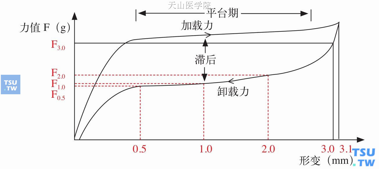 正畸弓丝的基本概念