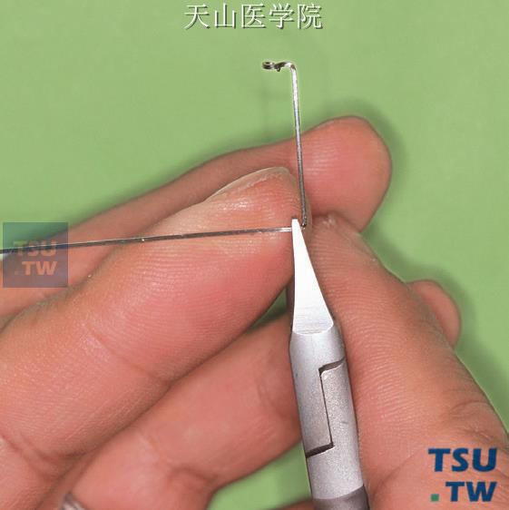 钳夹持在距弯折处龈方一个钳喙宽度的部位