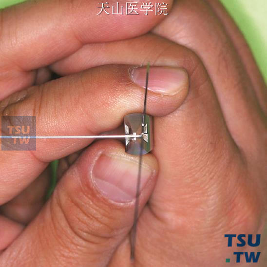 钳夹持在距弯折处2.5 ～3mm处