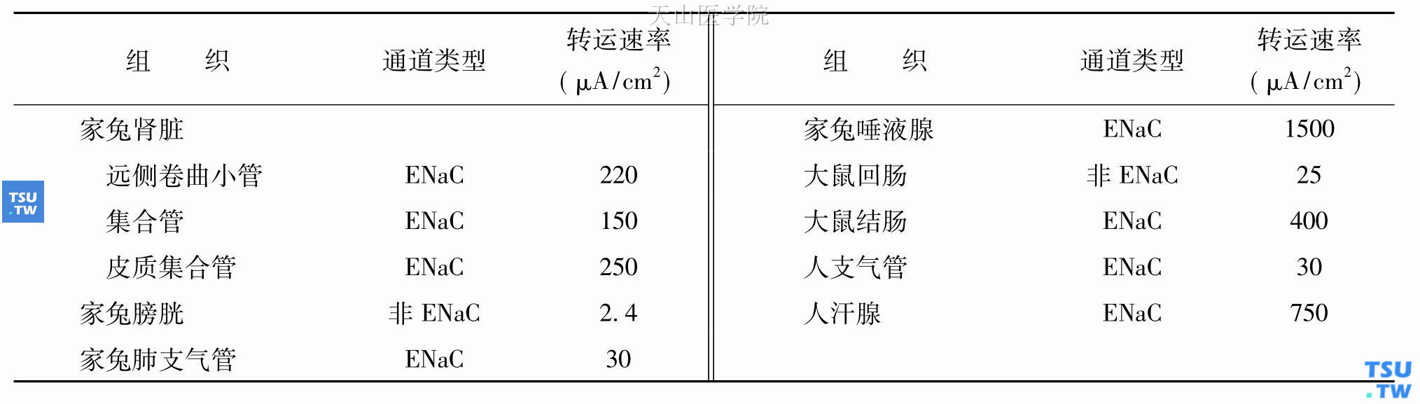 不同组织Na+通道的转运速率