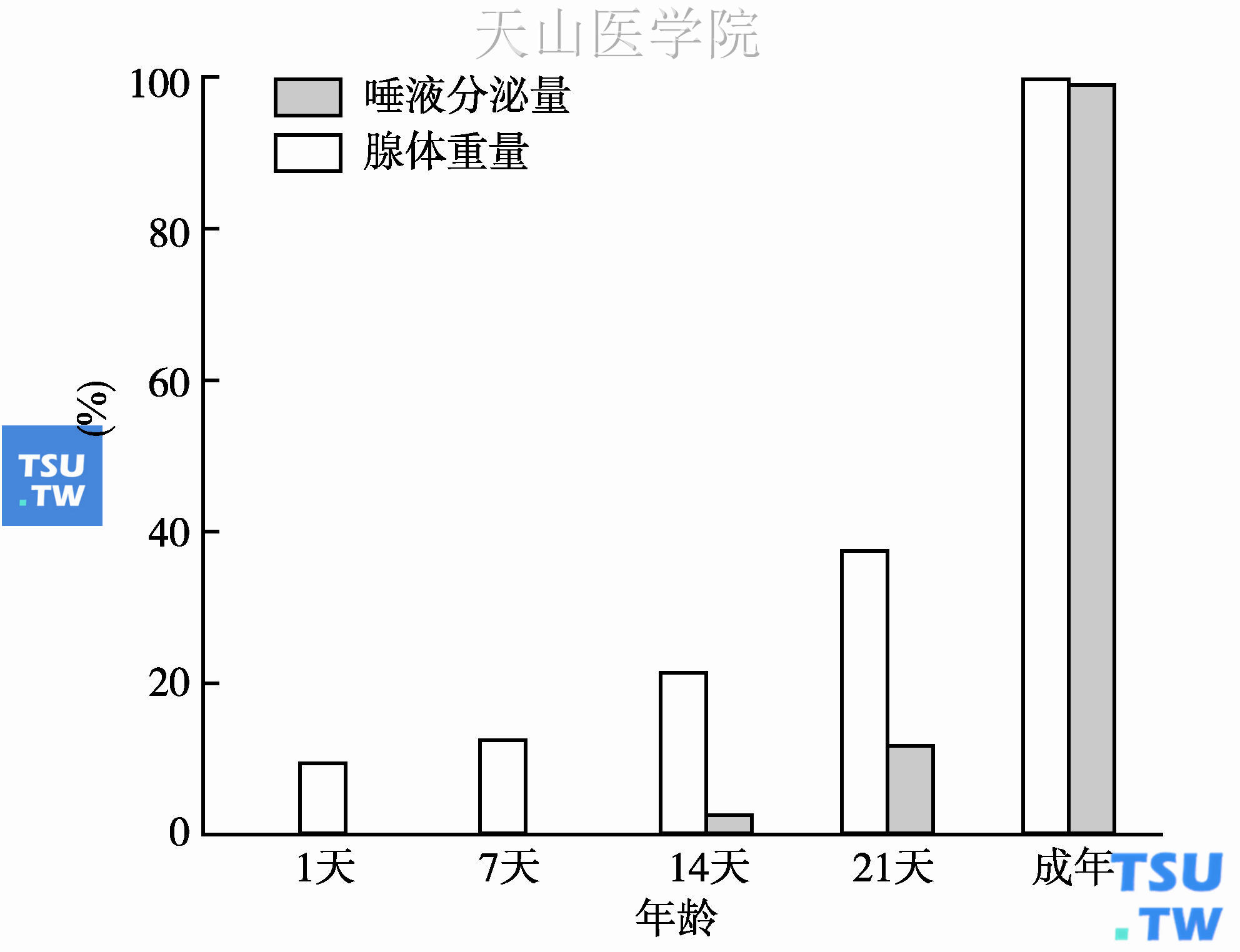 大鼠下颌下腺腺体重量和唾液分泌量的发育性改变