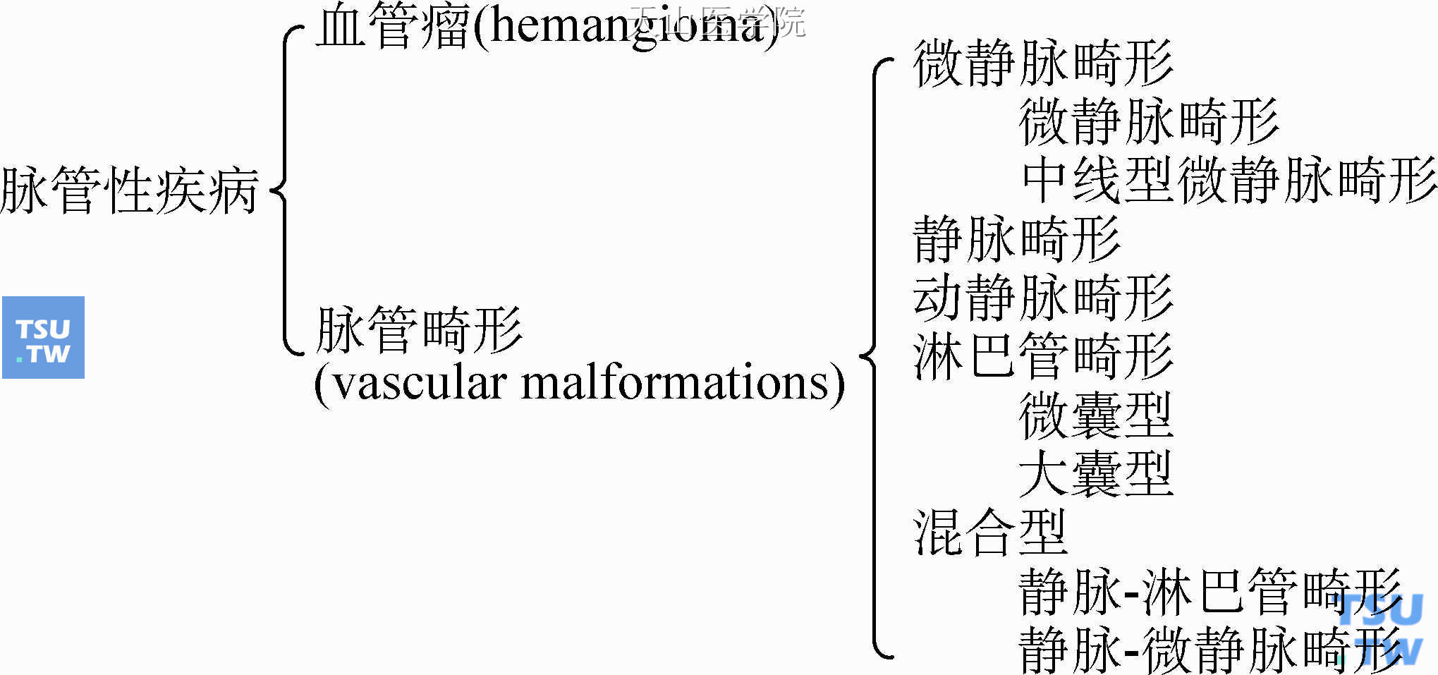 脉管性疾病的分类