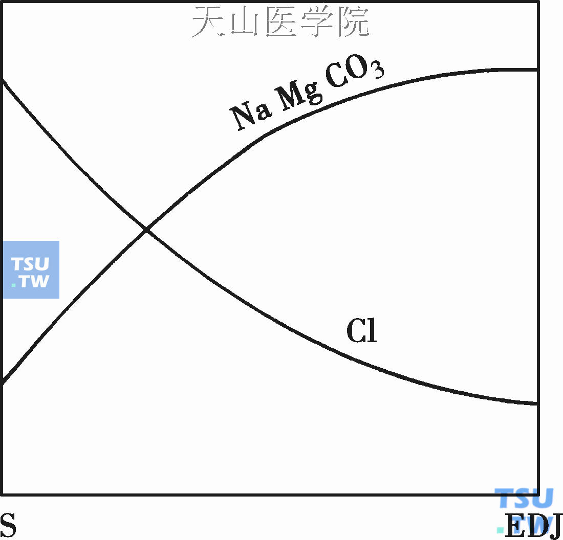 牙釉质从表面（S）到釉牙本质界（EDJ）的钠、镁、氯和碳酸盐浓度