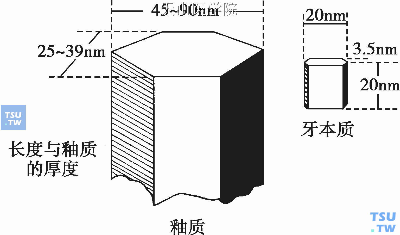 羟磷灰石晶体示意图