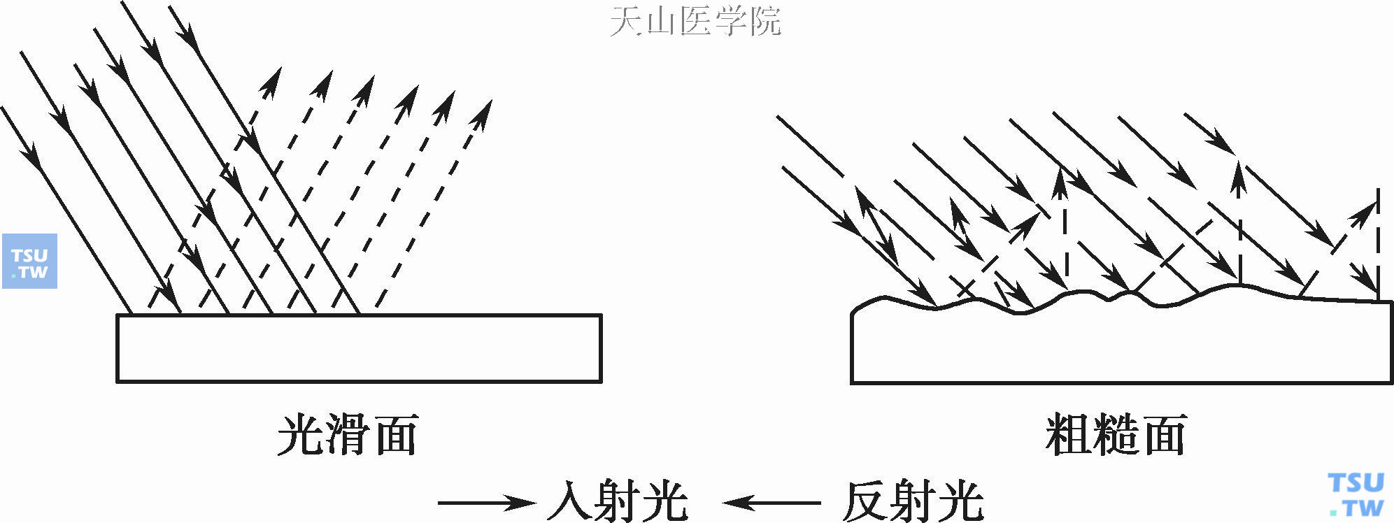 光滑面和粗糙面物体对光的反射