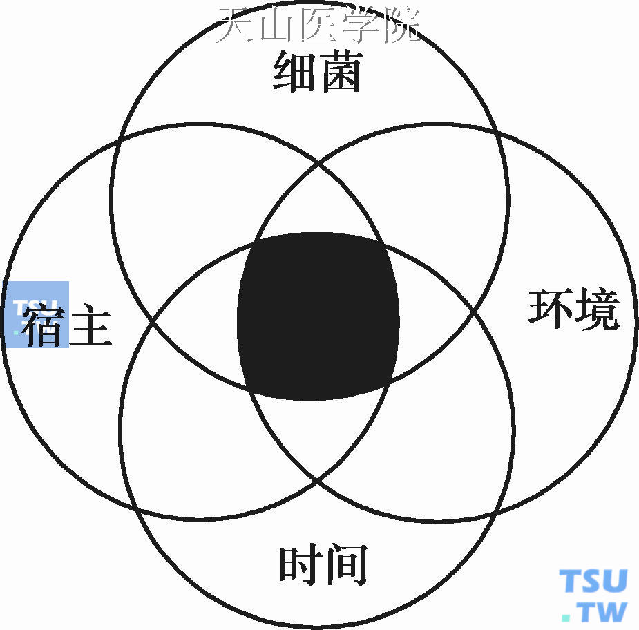 龋病发生的四联因素