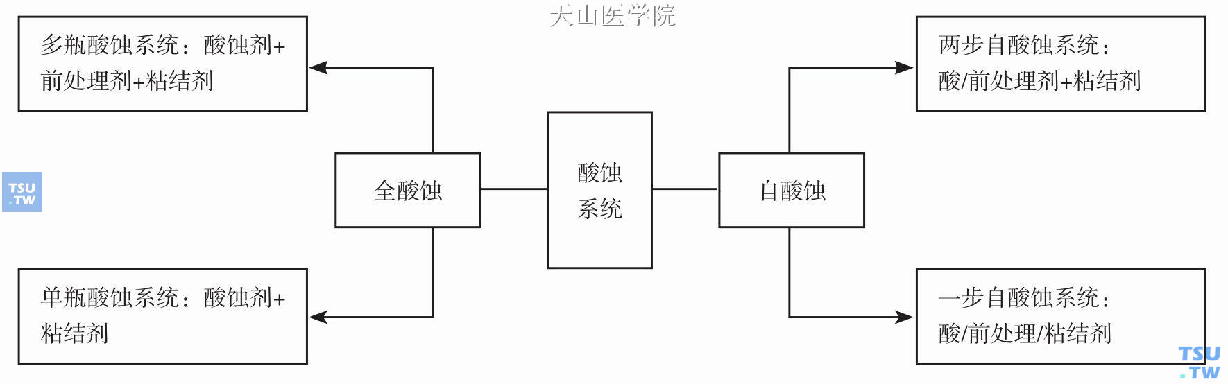 牙本质粘接系统的分类