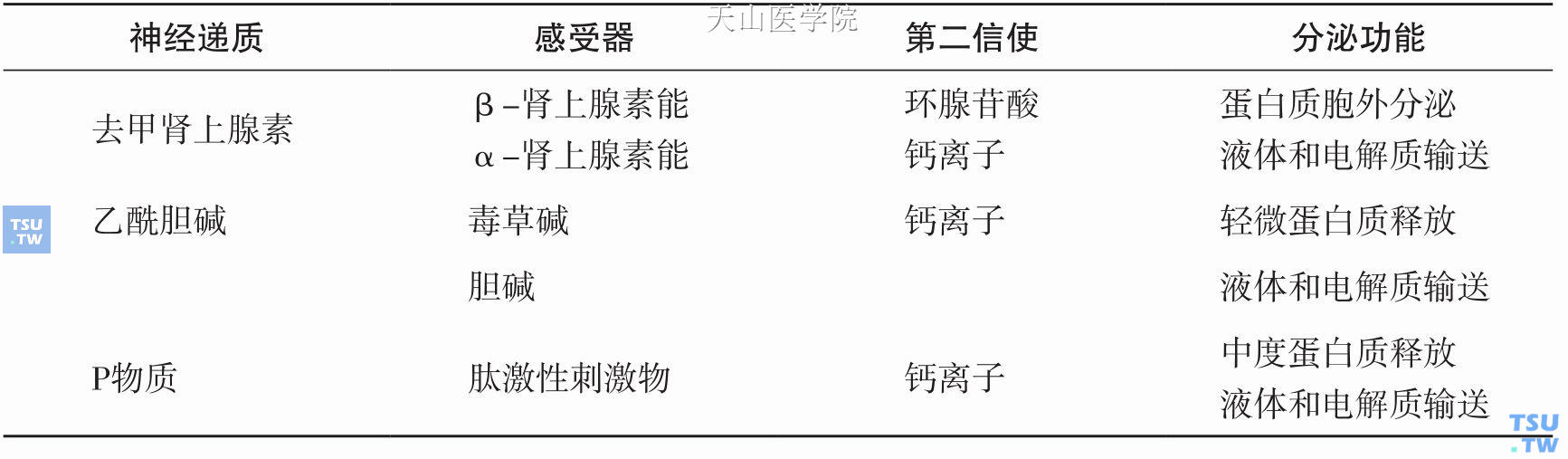 老年人唾液分泌及功能的变化