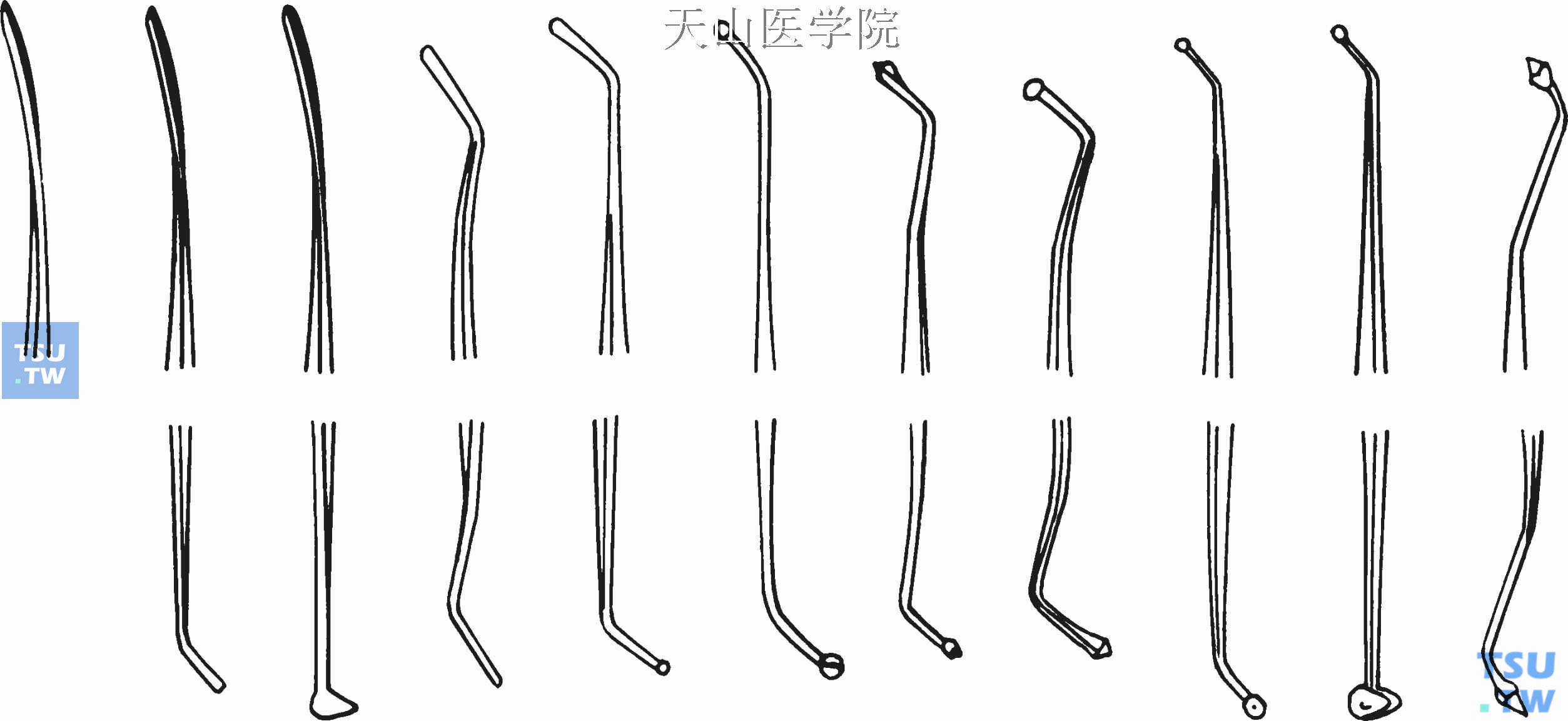 银汞光滑器的不同工作端