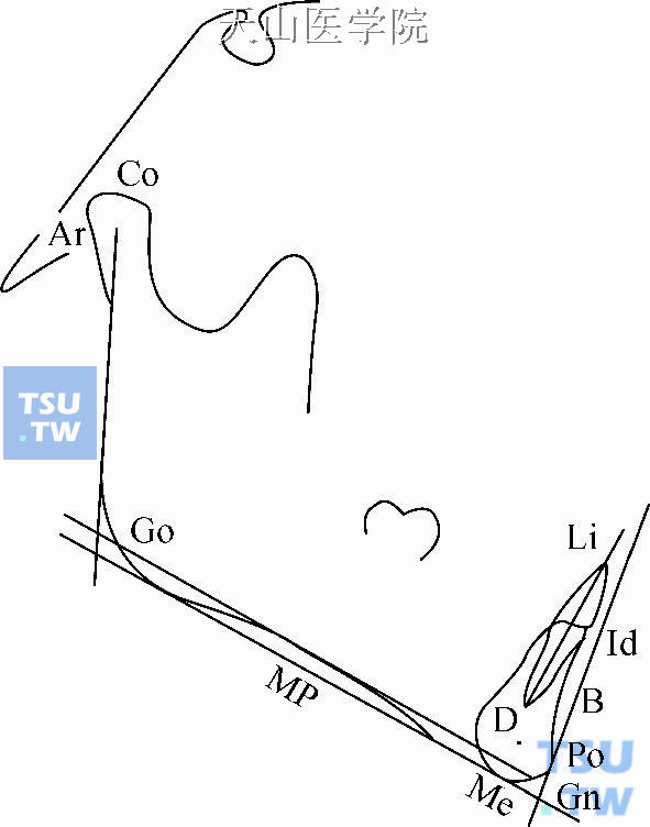 常用下颌标志点：Co：髁顶点；Ar：关节点；Go：下颌角点；Li：下切牙点；Id：下齿槽缘点；B：下齿槽座点；Po：颏前点；Me：颏下点；Gn：颏顶点