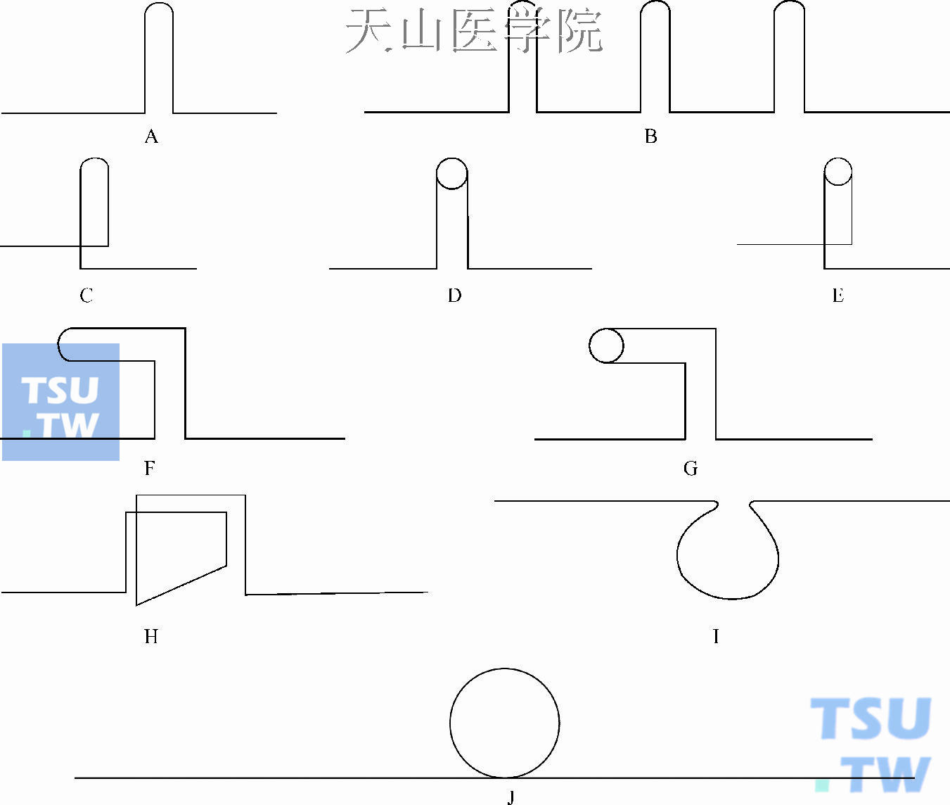 各类弓丝弹簧曲