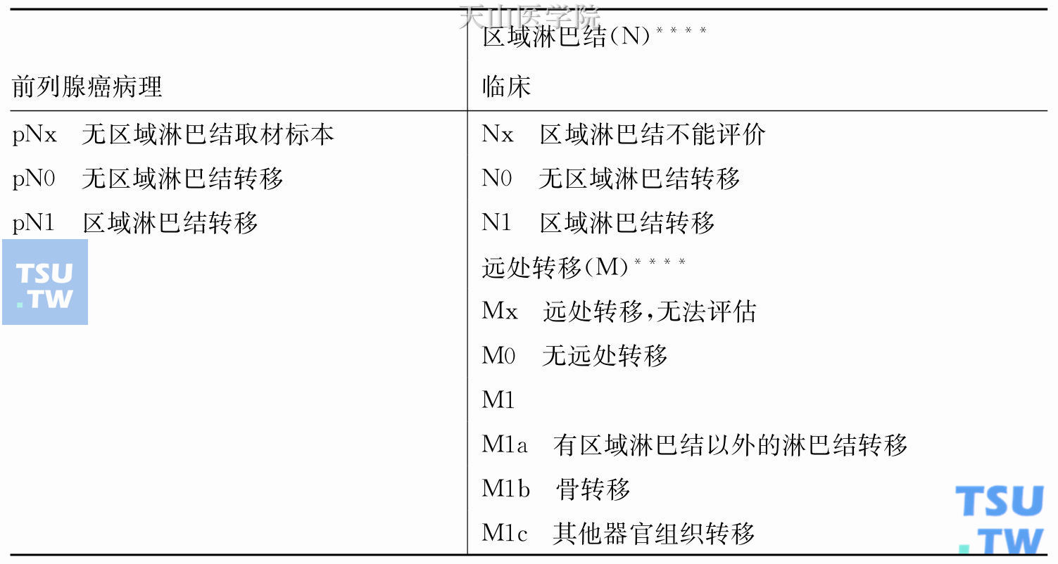 前列腺癌TNM分期