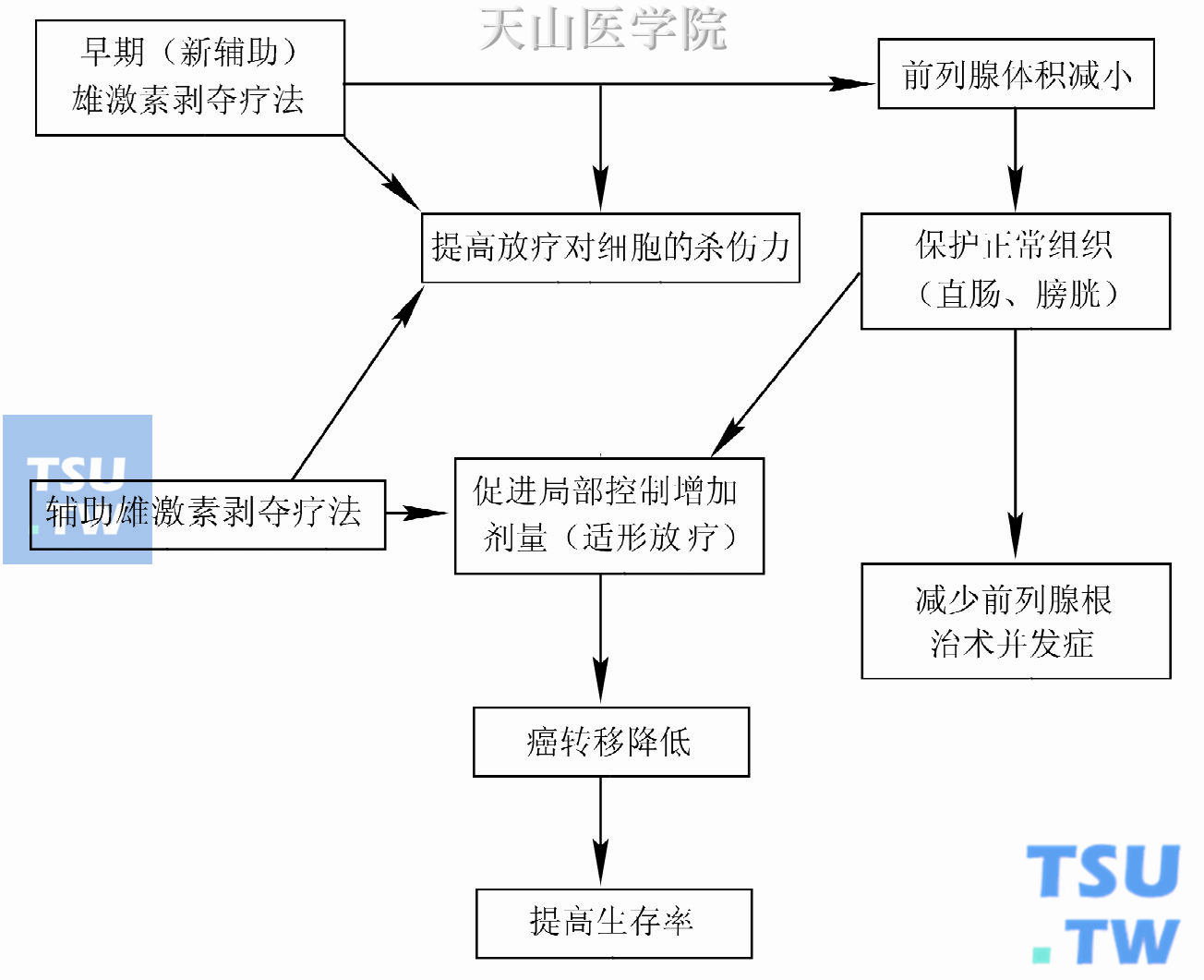 雄激素剥夺疗法、放射疗法和前列腺癌根治术之间的联系