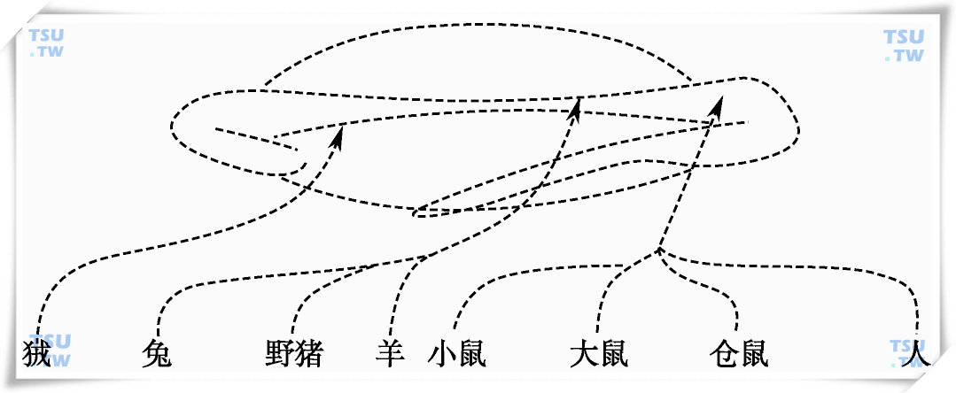 附睾精子受精能力的获得和发育