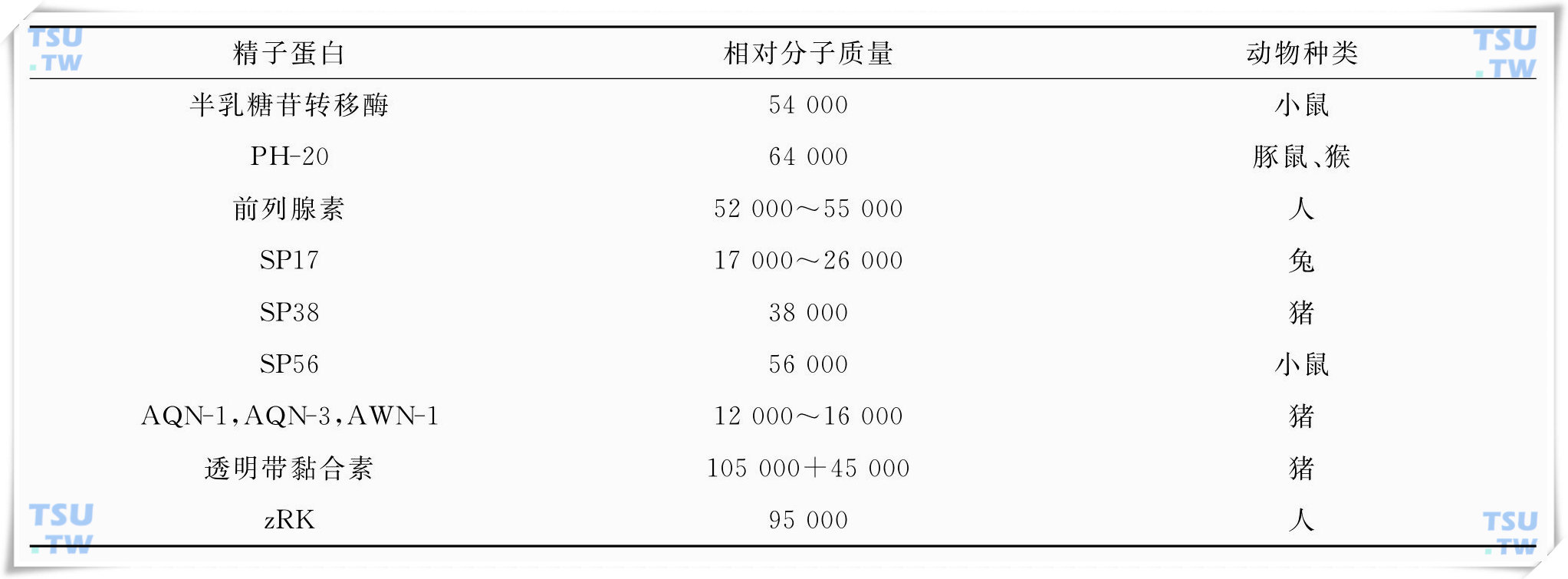 与透明带作用的精子蛋白