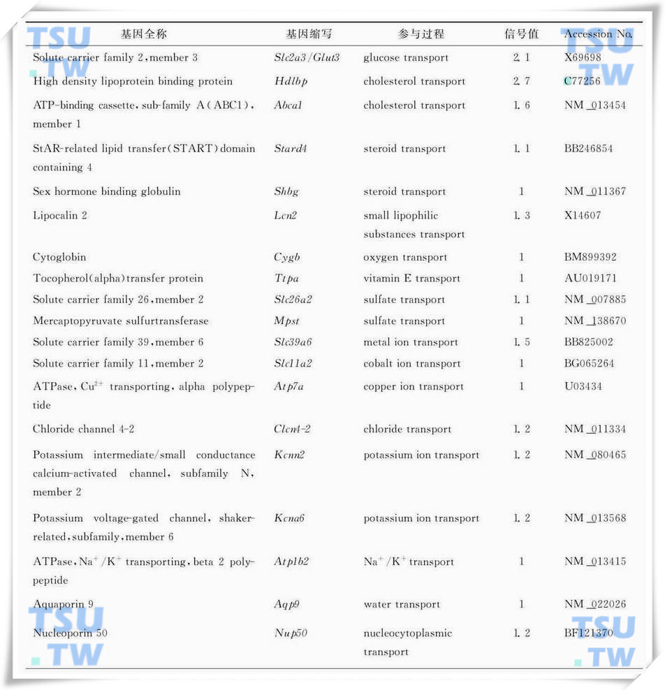 隐睾手术后4d明显上调代谢底物运输相关的基因列表（引自Frontiers in Bioscience 2006，11：2465-82）