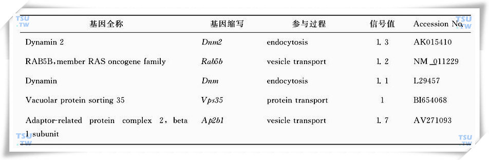 隐睾手术后4d明显上调代谢底物运输相关的基因列表（引自Frontiers in Bioscience 2006，11：2465-82）