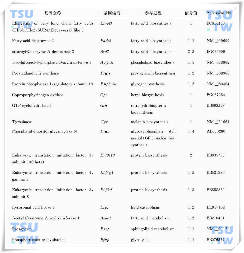 隐睾手术后4d明显上调代谢相关酶类的基因列表（引自Frontiers in Bioscience 2006，11：2465-82）