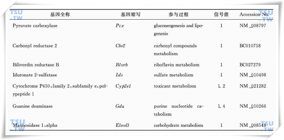 隐睾手术后4d明显上调代谢相关酶类的基因列表（引自Frontiers in Bioscience 2006，11：2465-82）