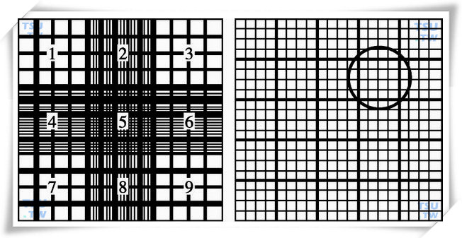  改良Neubauer血细胞计数板（左图为9个大方格，右图为5号大方格，圆圈部分为其中一中方格）