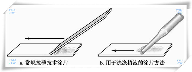  用于精子形态学分析的涂片方法