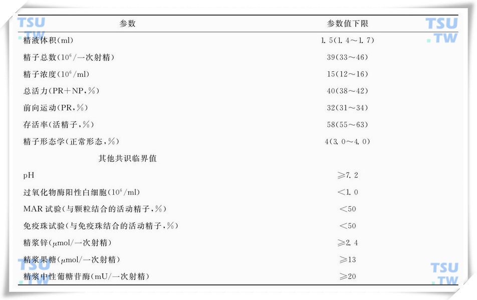 计算机辅助精子分析的简要介绍