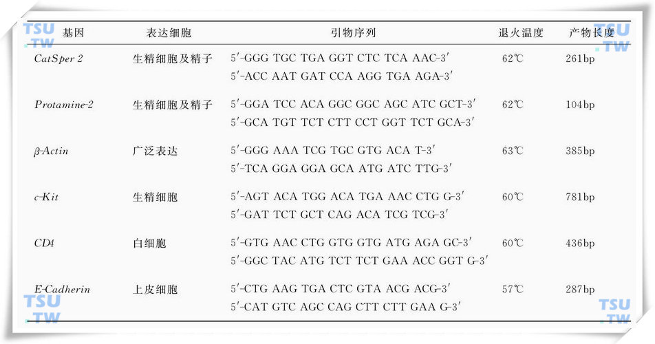 参考PCR引物