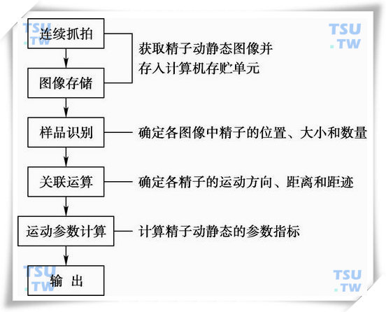 精子动/静态图像自动分析系统的检测原理