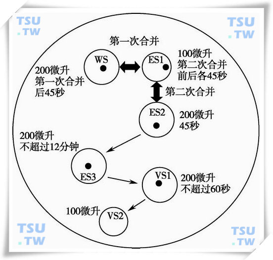  人卵母细胞的预平衡和玻璃化冷冻过程示意图