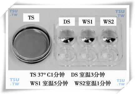  玻璃化冷冻保存人胚胎及胚胎的复温