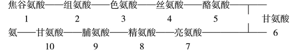 GnRH的分子结构与功能的关系