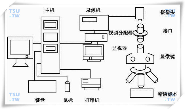  精子质量检测系统的结构图