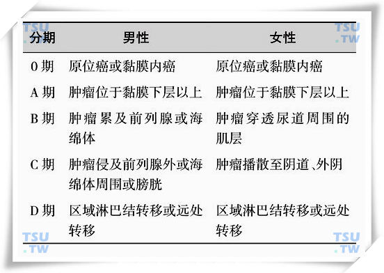 尿道癌的临床病理分期