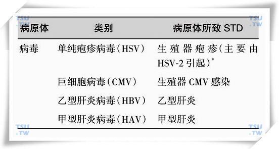 性传播疾病的病原体及所致STD