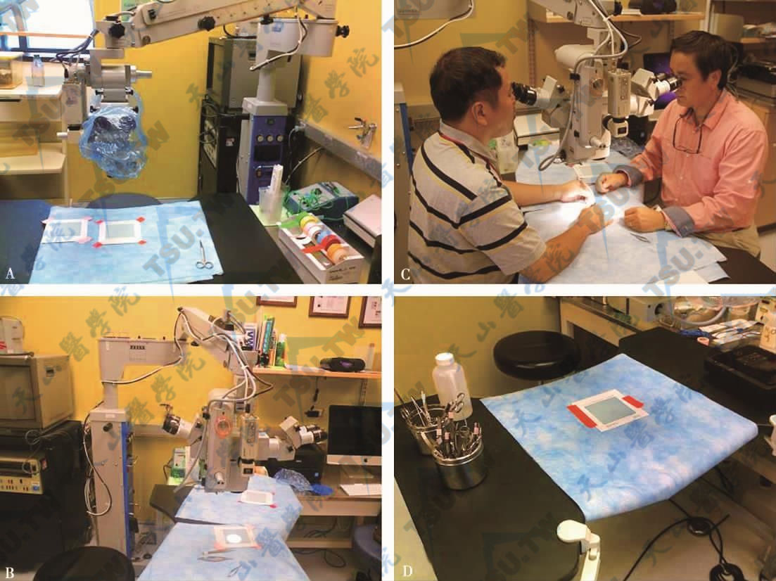 具有电动变焦聚焦功能的Zeiss　OPMI／S3／S4外科手术显微镜系统和手动变焦聚焦的Zeiss OPMI-1双头双目显微镜（A，B）都可以用来进行男性不育显微外科手术培训（C）；显微外科手术工作台（D）