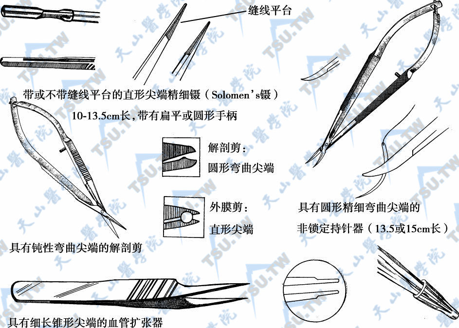 用于男性不育显微外科手术的基本显微外科手术器械组合