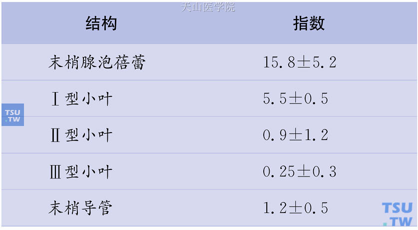 DNA标记指数测定的人乳腺末梢导管-小叶增生能力