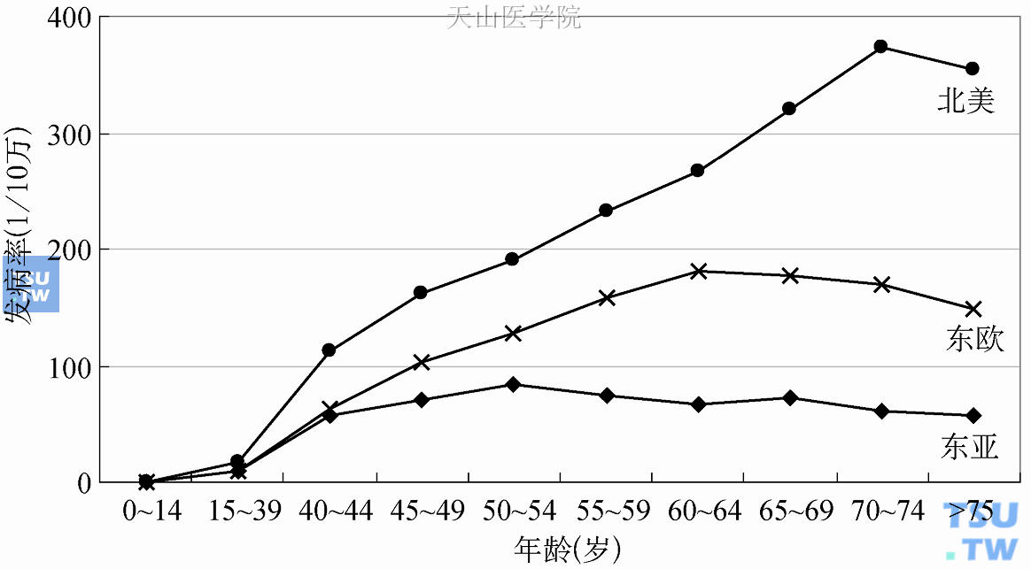 全球女性乳腺癌发病年龄分布模式的主要类型（GLOBOCAN 2008）