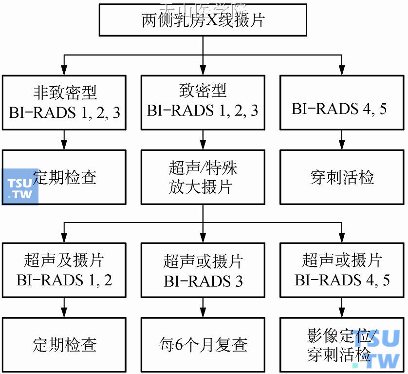 乳房影像学检查流程