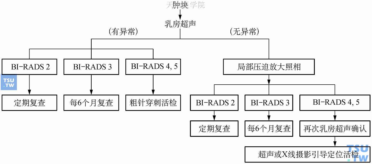 乳房X线摄片有肿块的处理流程