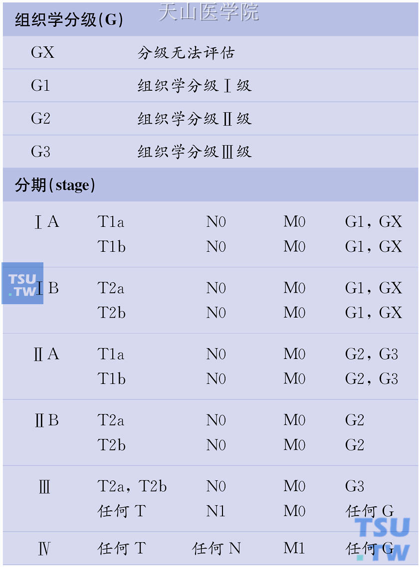 软组织肿瘤的TNM定义及其分期