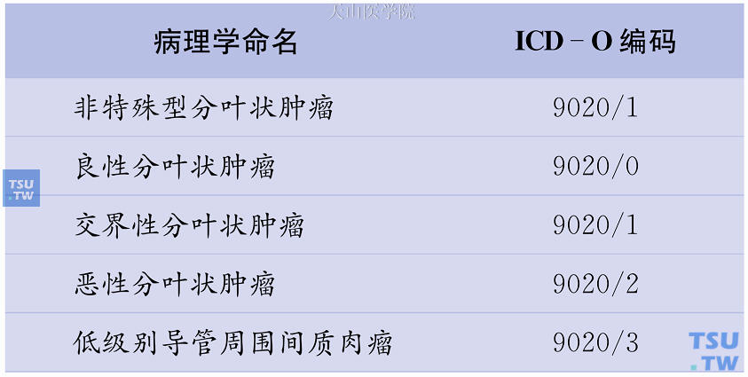 WHO关于女性乳腺分叶状肿瘤的病理学命名和ICD-O编码