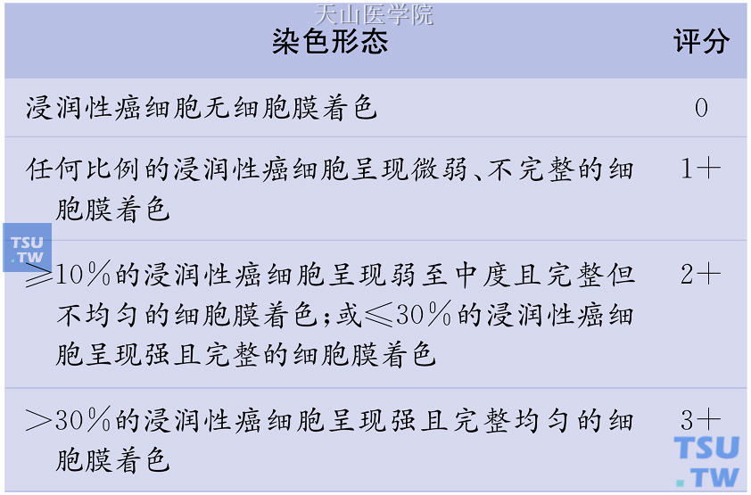 2007年版ASCO/CAP指南中HER-2免疫组化结果判断标准