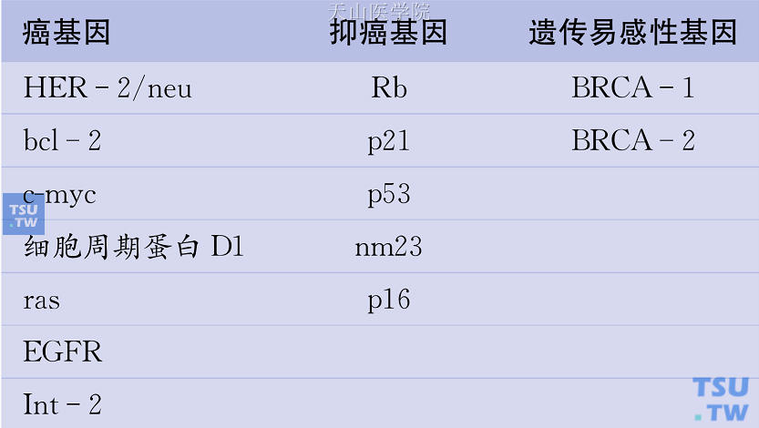 乳腺癌相关基因