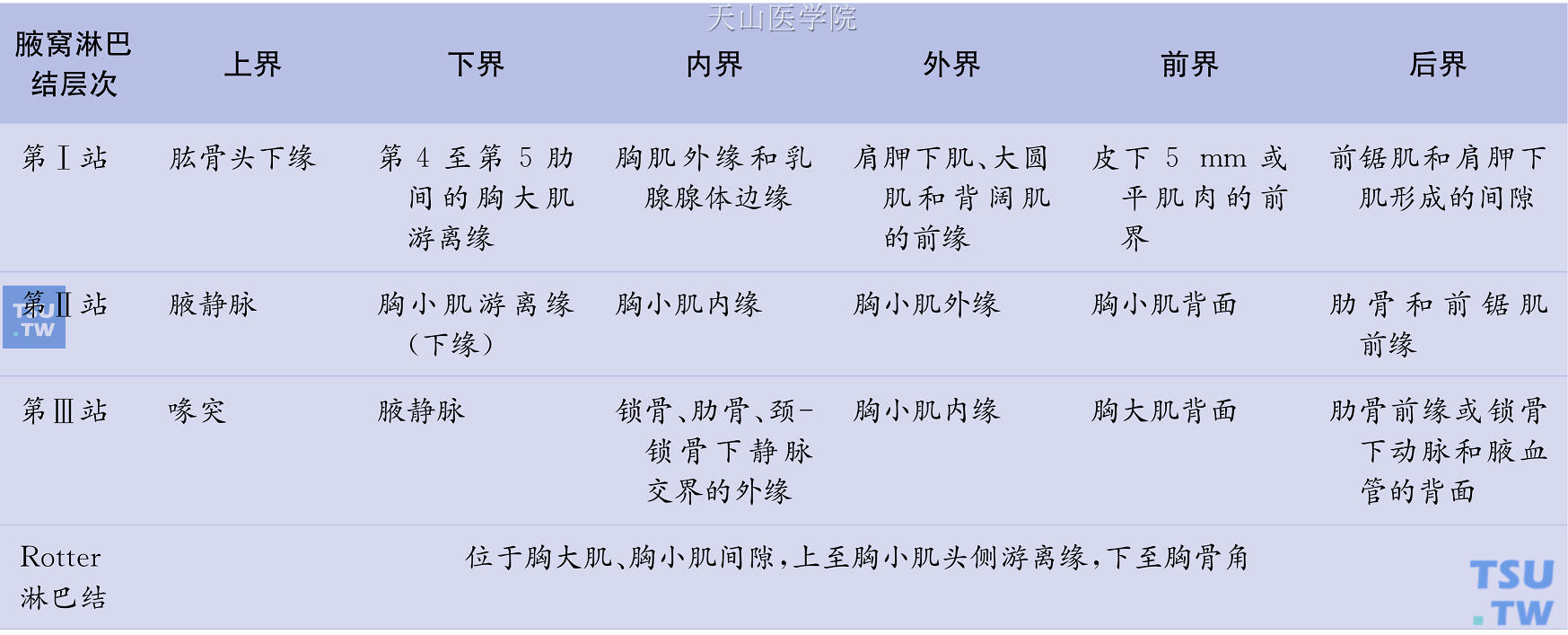 腋窝淋巴结靶区勾画范围