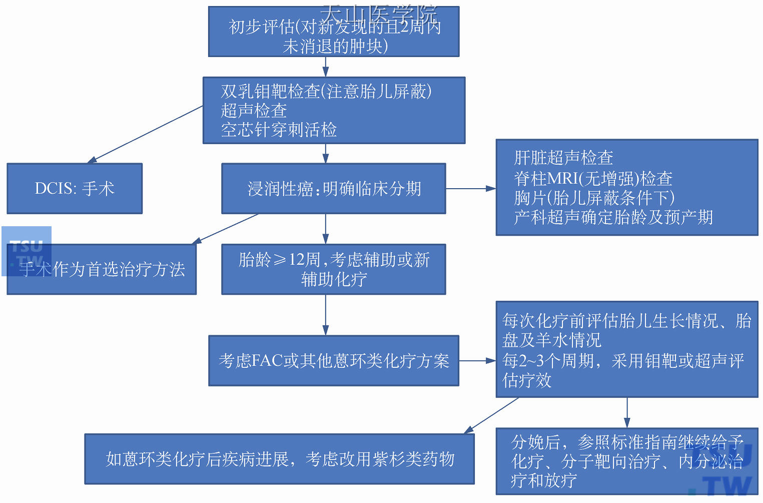 妊娠哺乳期乳腺肿块诊治流程