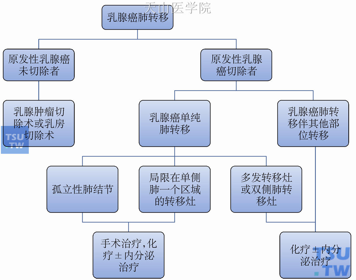 乳腺癌肺转移治疗策略