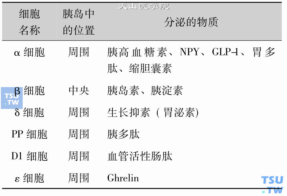 胰岛细胞分泌的各种物质