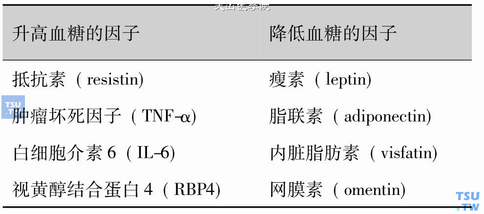 肥胖与2型糖尿病的病因及发病机制